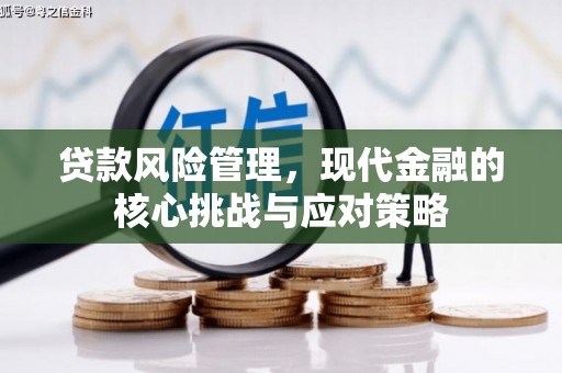 洋县贷款风险管理，现代金融的核心挑战与应对策略