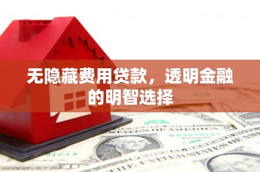 洋县无隐藏费用贷款，透明金融的明智选择
