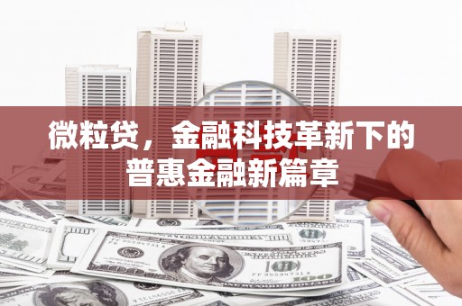 洋县微粒贷，金融科技革新下的普惠金融新篇章