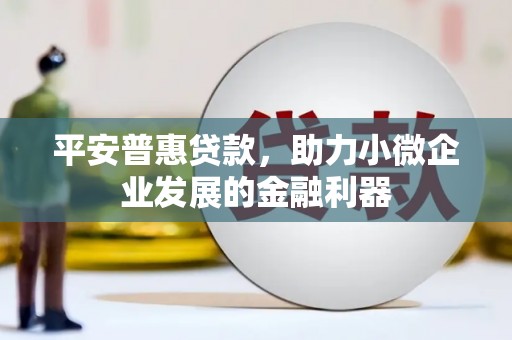 洋县平安普惠贷款，助力小微企业发展的金融利器