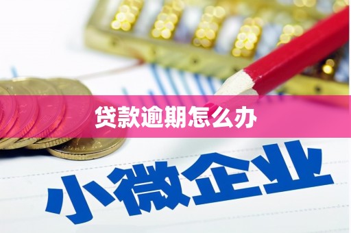 洋县贷款逾期怎么办
