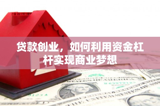 洋县贷款创业，如何利用资金杠杆实现商业梦想