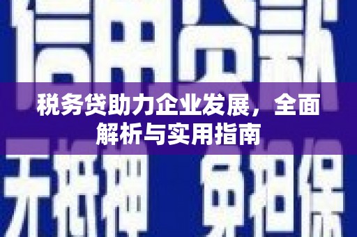 洋县税务贷助力企业发展，全面解析与实用指南