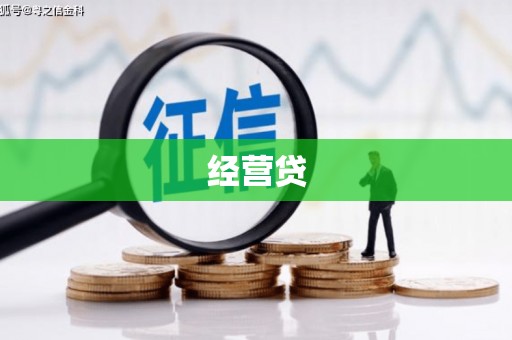 洋县经营贷