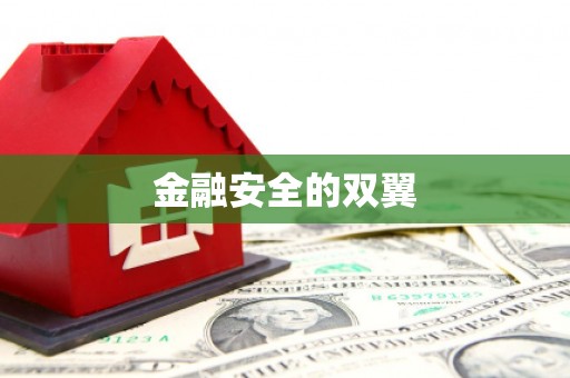 洋县金融安全的双翼