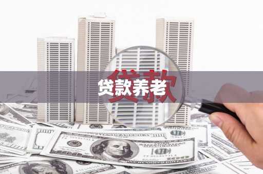 洋县贷款养老