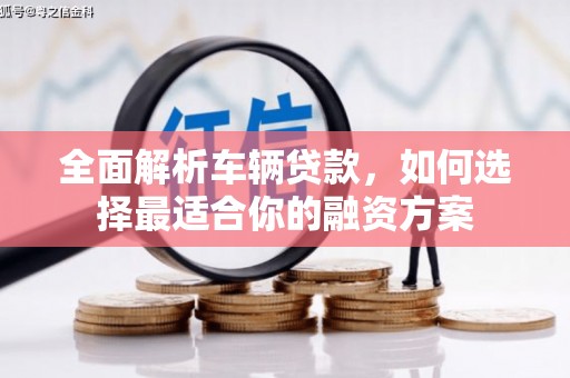 洋县全面解析车辆贷款，如何选择最适合你的融资方案