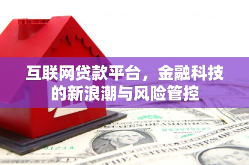 洋县互联网贷款平台，金融科技的新浪潮与风险管控