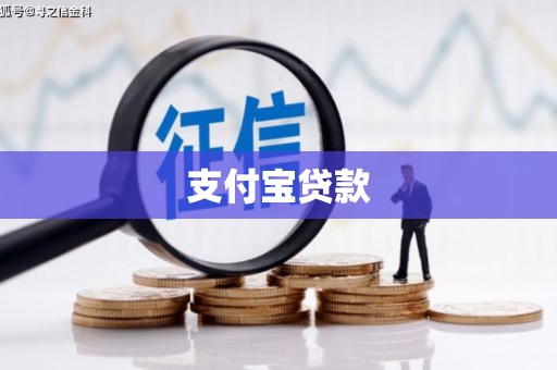 洋县支付宝贷款