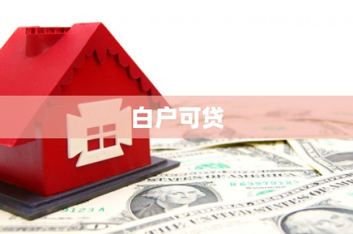 洋县白户可贷