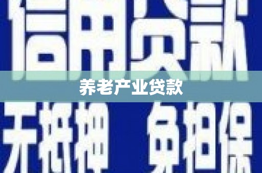 洋县养老产业贷款