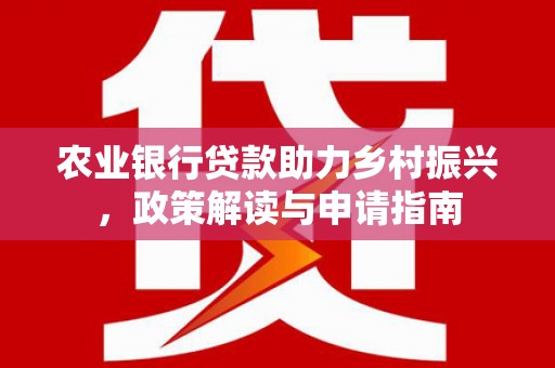 洋县农业银行贷款助力乡村振兴，政策解读与申请指南
