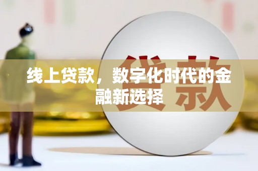 洋县线上贷款，数字化时代的金融新选择