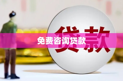 洋县免费咨询贷款
