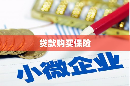 洋县贷款购买保险