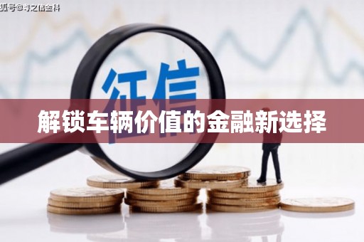 洋县解锁车辆价值的金融新选择