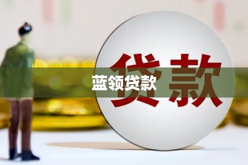 洋县蓝领贷款