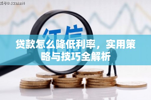 洋县贷款怎么降低利率，实用策略与技巧全解析