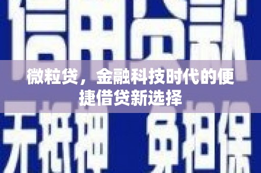洋县微粒贷，金融科技时代的便捷借贷新选择