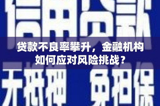洋县贷款不良率攀升，金融机构如何应对风险挑战？