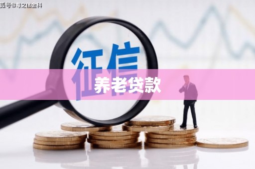 洋县养老贷款