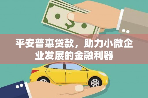 洋县平安普惠贷款，助力小微企业发展的金融利器