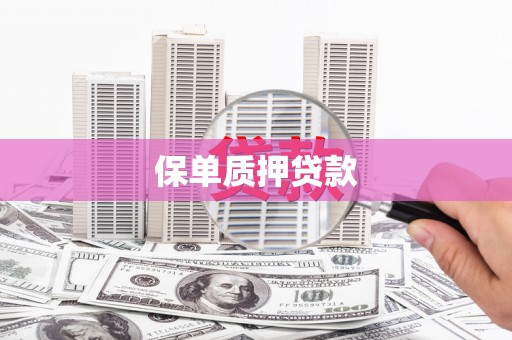 洋县保单质押贷款
