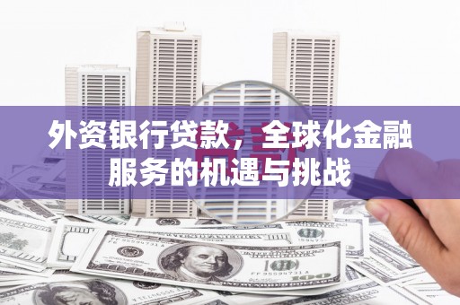 洋县外资银行贷款，全球化金融服务的机遇与挑战