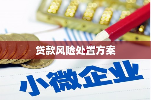 洋县贷款风险处置方案