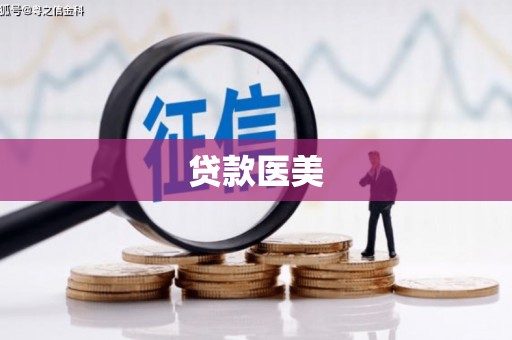 洋县贷款医美