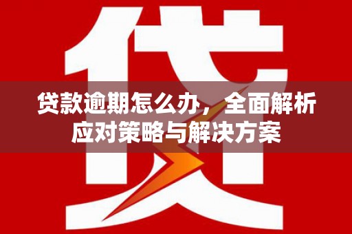 洋县贷款逾期怎么办，全面解析应对策略与解决方案