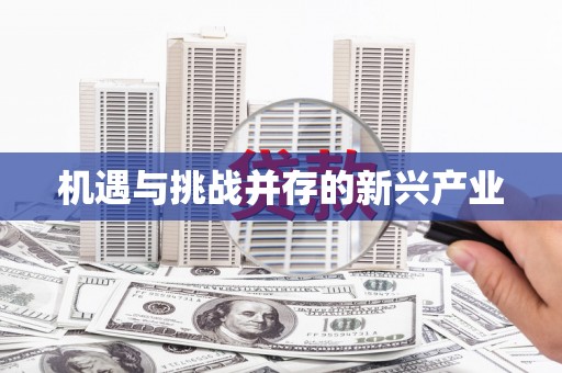 洋县机遇与挑战并存的新兴产业