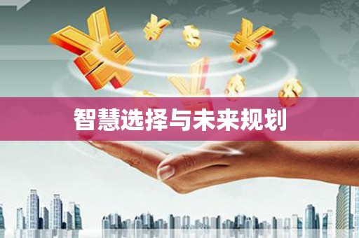 洋县智慧选择与未来规划