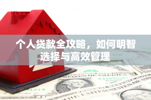 洋县个人贷款全攻略，如何明智选择与高效管理