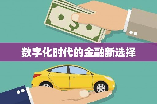 洋县数字化时代的金融新选择