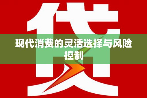 洋县现代消费的灵活选择与风险控制