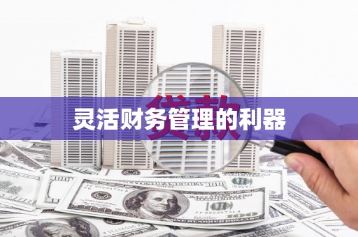 洋县灵活财务管理的利器