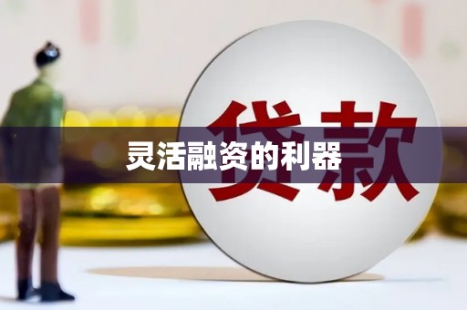 洋县灵活融资的利器