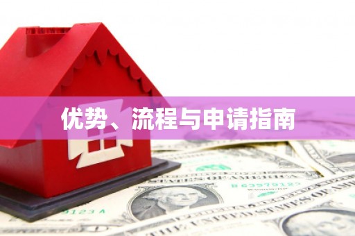 洋县优势、流程与申请指南