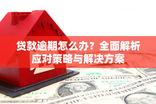 洋县贷款逾期怎么办？全面解析应对策略与解决方案