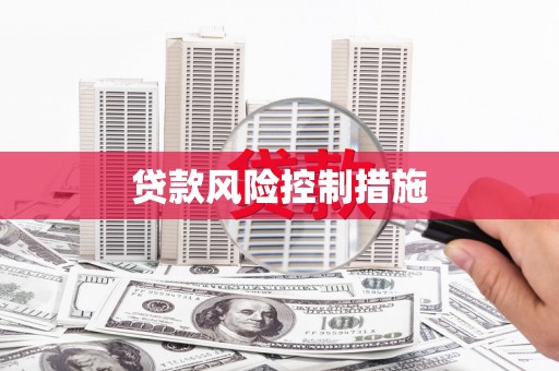 洋县贷款风险控制措施