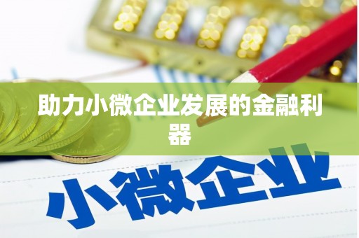 洋县助力小微企业发展的金融利器