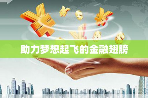 洋县助力梦想起飞的金融翅膀