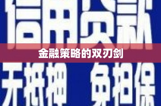 洋县金融策略的双刃剑