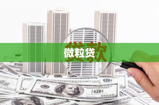 洋县微粒贷