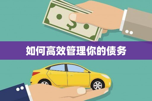 洋县如何高效管理你的债务