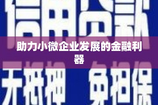 洋县助力小微企业发展的金融利器