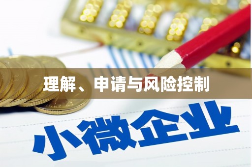 洋县理解、申请与风险控制