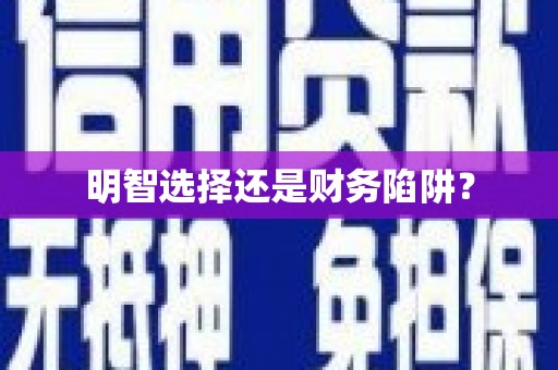 洋县明智选择还是财务陷阱？