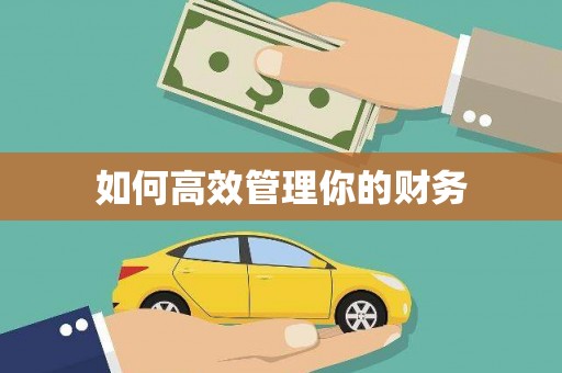 洋县如何高效管理你的财务